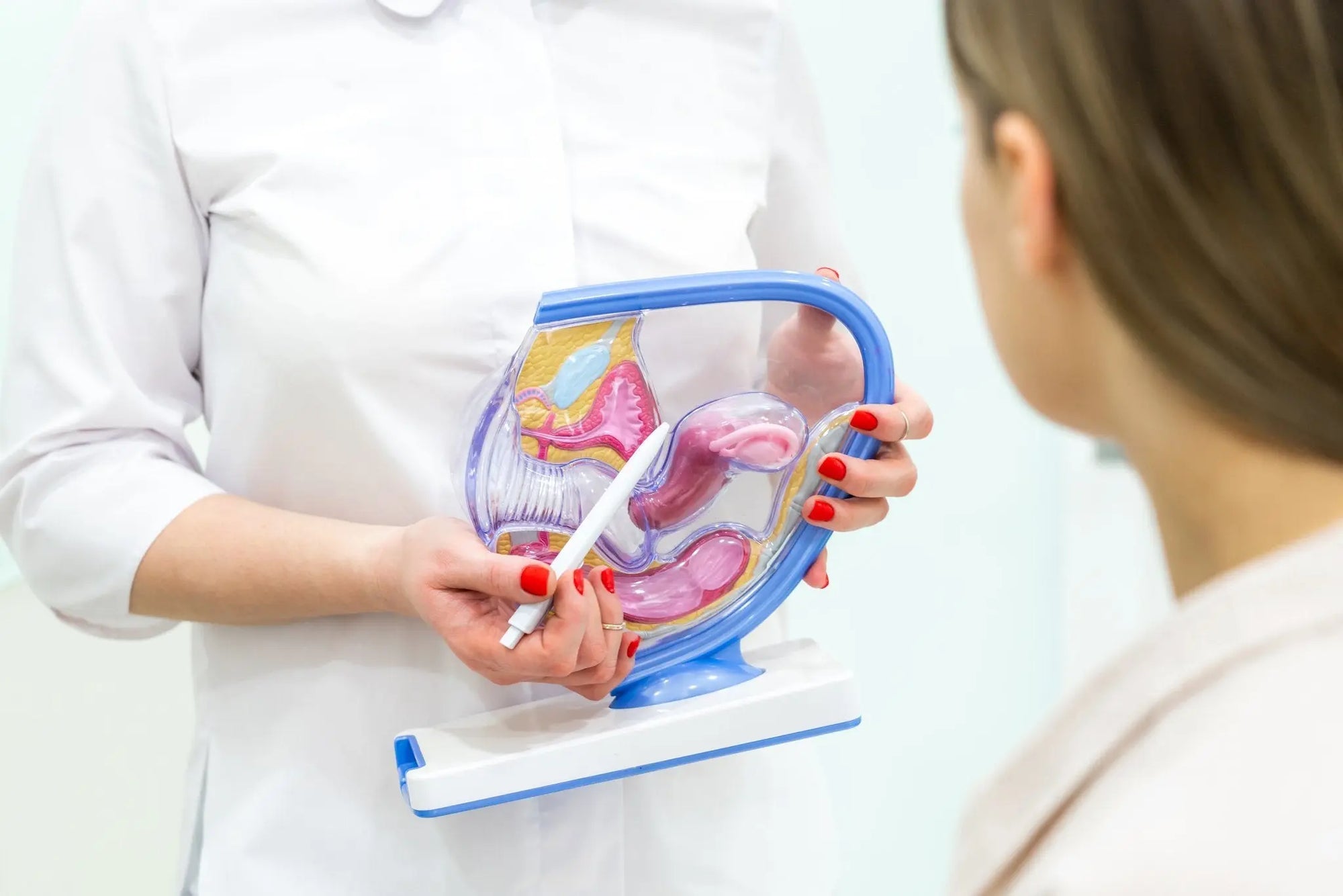 Ovaires polykystiques : tout ce qu’il faut savoir - BLOOMING
