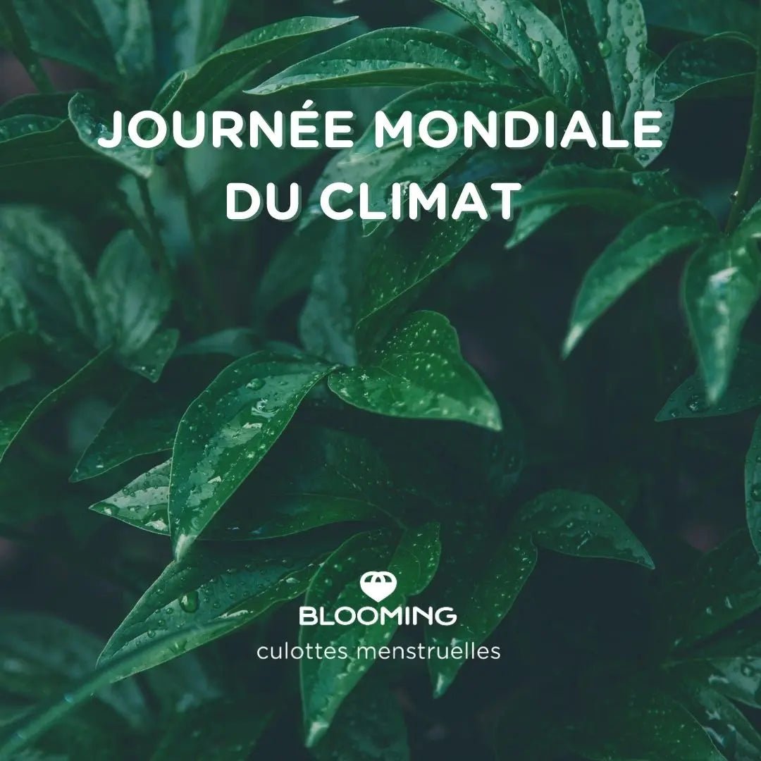 Journée Mondiale du Climat : Agir ensemble pour un avenir durable - BLOOMING