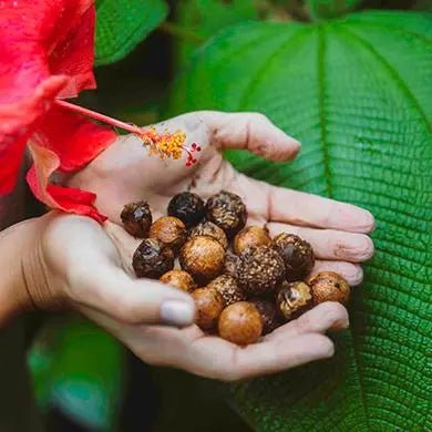 Interview avec Aude Evenat, Directrice et Fondatrice de Maravilla Laboratoire Cosmétique - BLOOMING